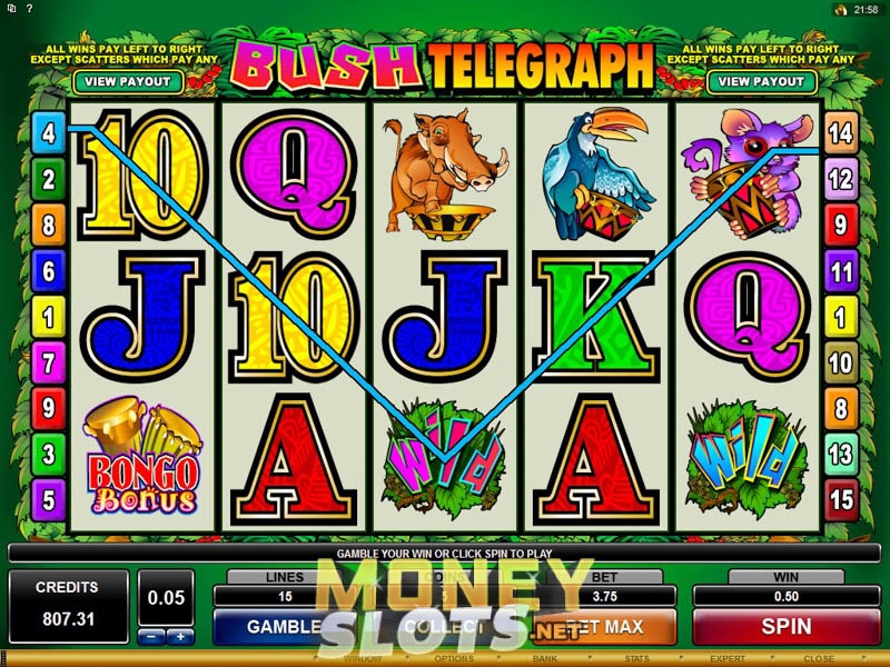 Bush Telegraph Slots Bush Telegraph Slots