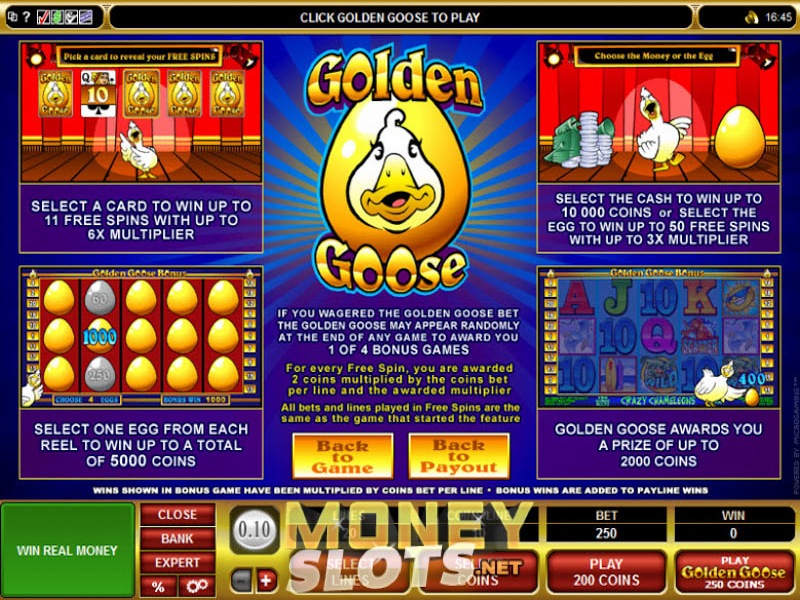 Crazy Chameleons™ Slot Machine Game to Play Free in Microgamings Online Casinos Crazy Chameleons™ Slot Machine Game to Play Free in Microgamings Online Casinos