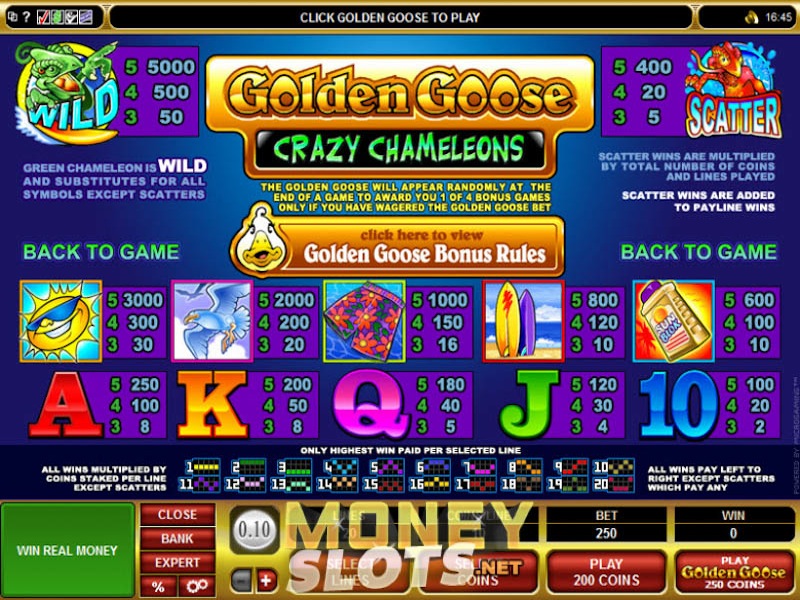Crazy Goose Slots - Free Slot Machine Game - Play Now Crazy Goose Slots - Free Slot Machine Game - Play Now