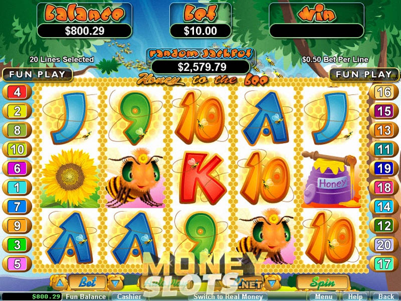 Honey bee slots