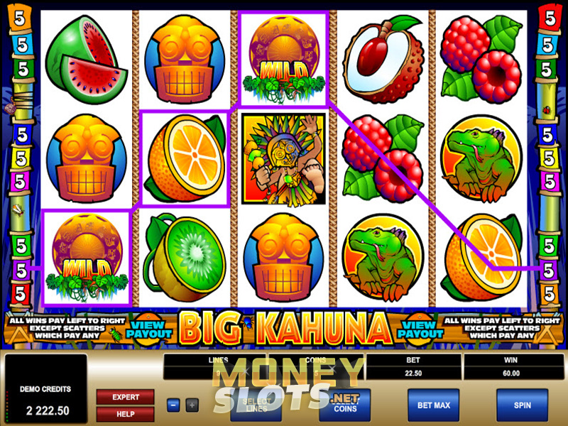 Big kahuna microgaming casino slots house villa monticello