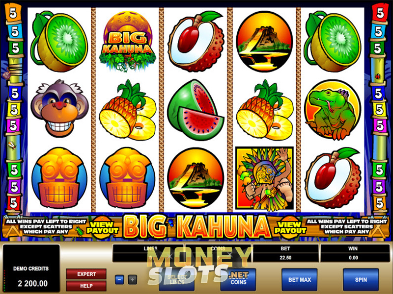 Item tips big kahuna microgaming casino slots