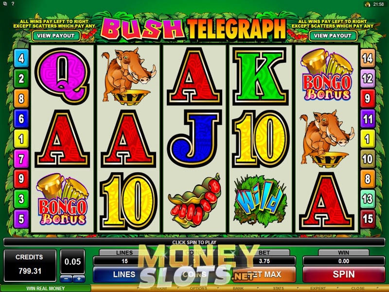 Bush Telegraph Slots Bush Telegraph Slots