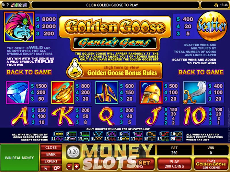 Windiggers casino online Windiggers casino online