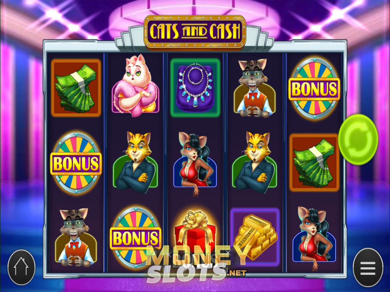 Cats and cash playn go slot game express entertainment