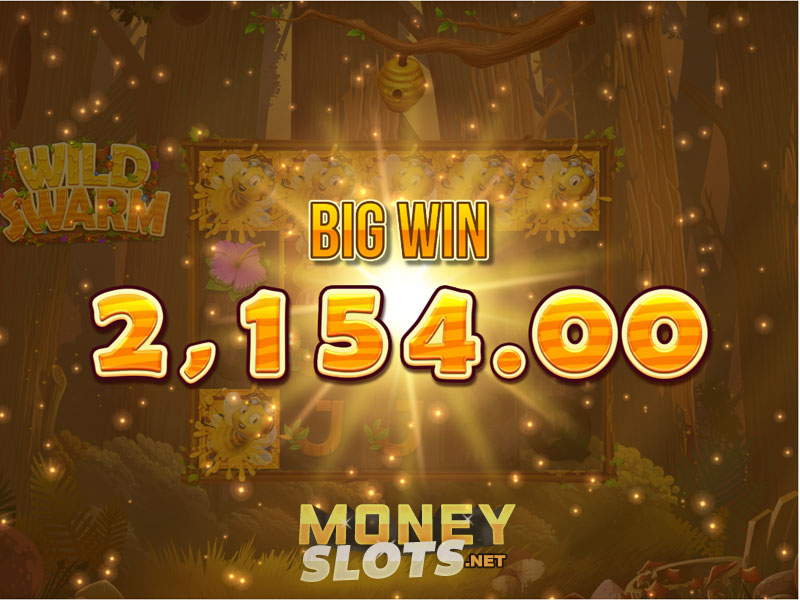 Slots hall Slots hall