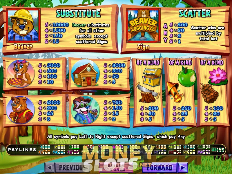 Beaver slot