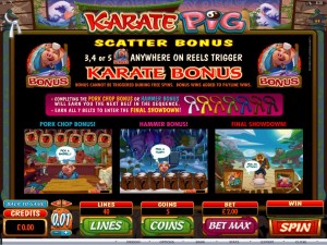 karate-pig-bonus