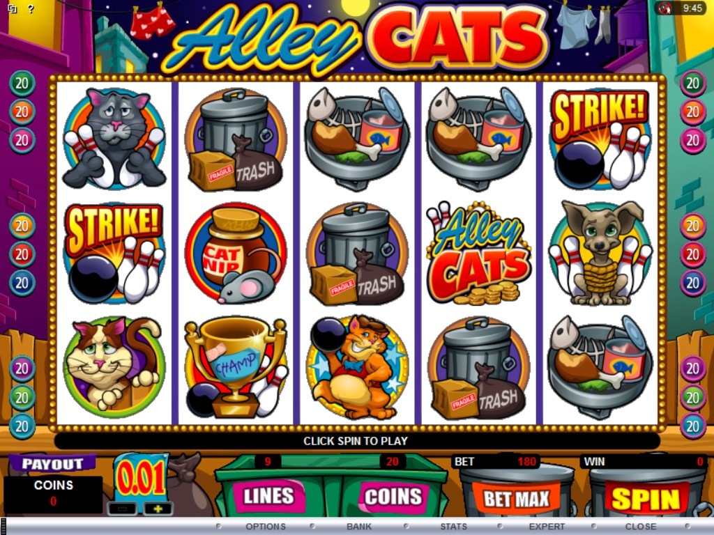 Casino Casino